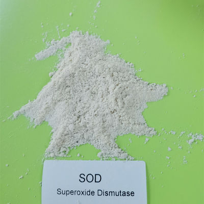 SOD 항산화 슈퍼옥사이드 디스뮤타제 99% 500000iu/g