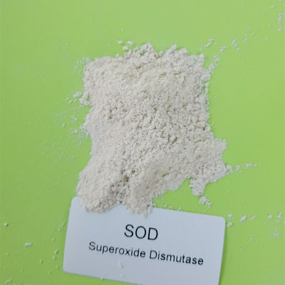 500000iu/g 99% SOD Superoxide Dismutase 화장품 원료