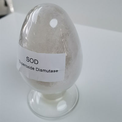 고순도 SOD Superoxide Dismutase CAS 9054 89 1