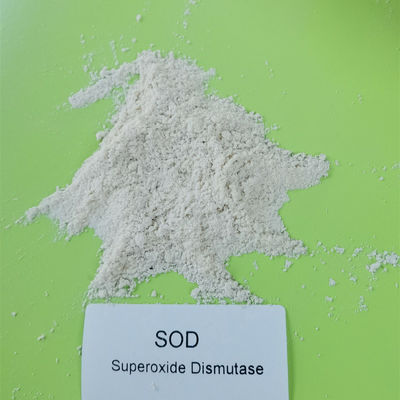 99% 하얀 SOD 초과산화물 불균등화 효소 가루 500000 iu / Ｇ