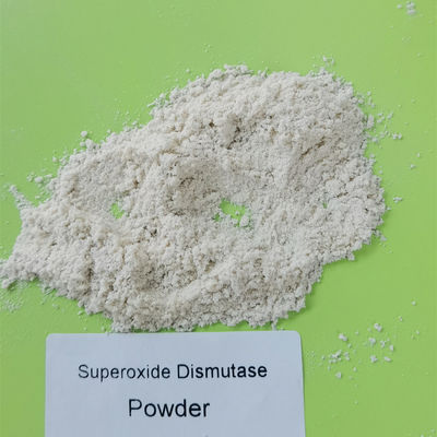 식품 학년 원료 Superoxide Dismutase 분말 PH 4-11