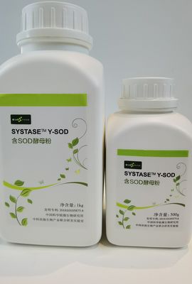 화장품에서 CAS 9054-89-1 SOD 초과산화물 불균등화 효소