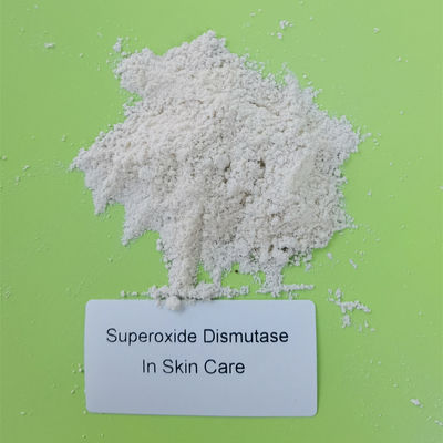 효소 활성 50000iu/g 미생물 추출 Superoxide Dismutase