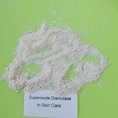 화장품에 있는 미생물 발효작용 세포 보호 SOD Superoxide Dismutase